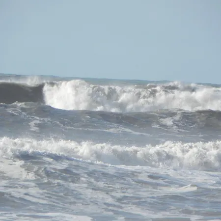 Les Pins 2*